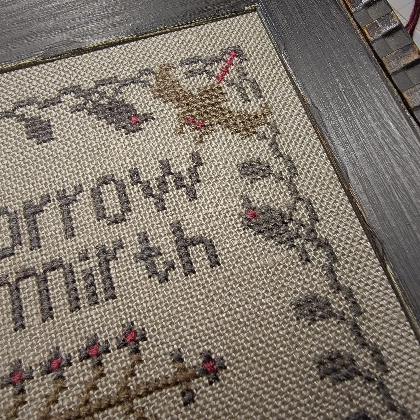 Alice Young 1647 Sampler Pattern PDF