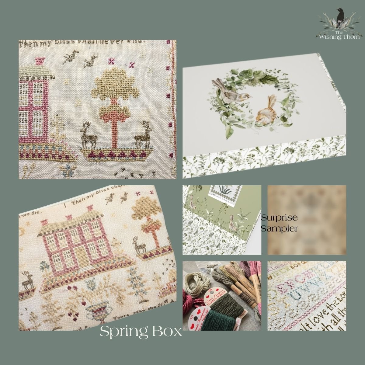 Spring Box 2025 Aida