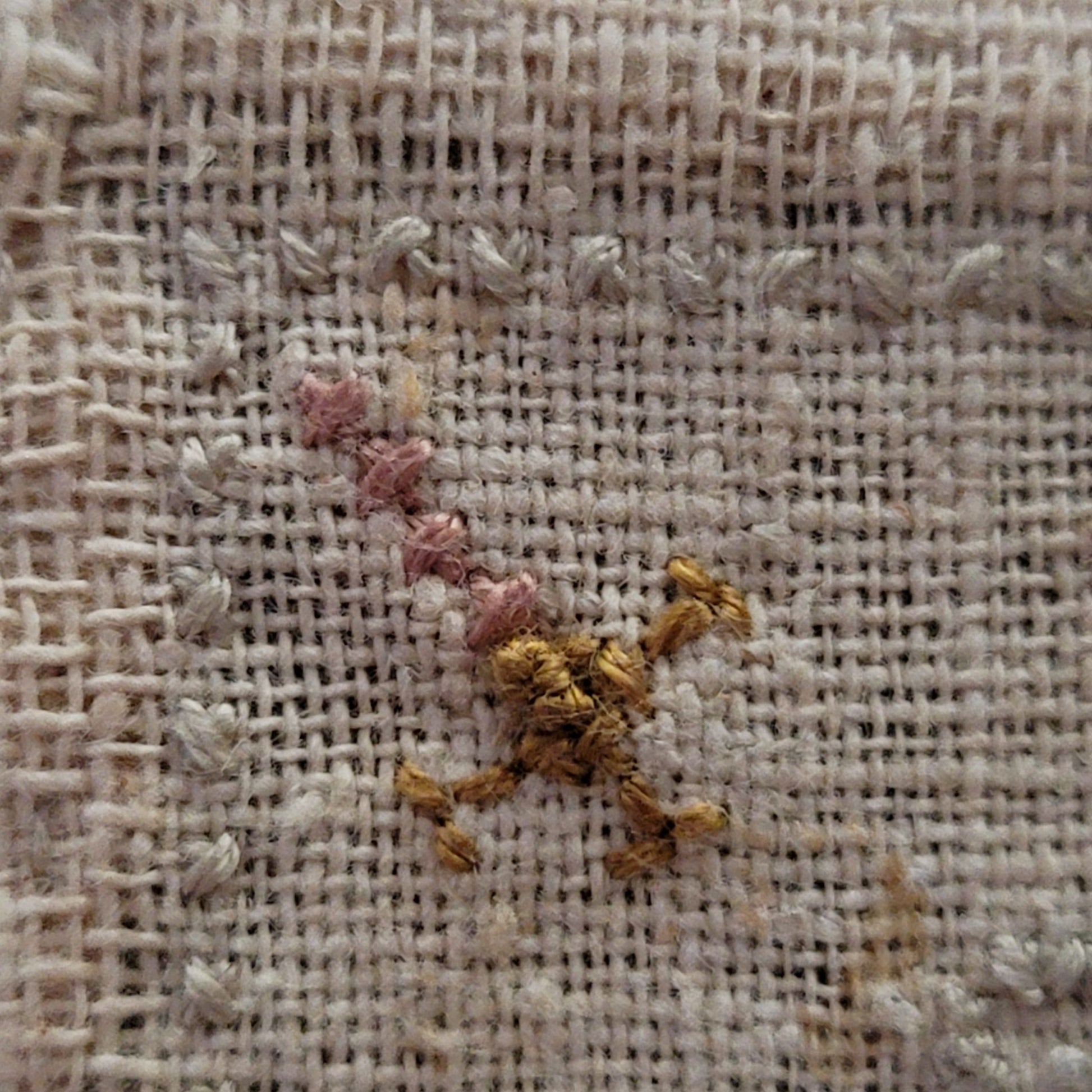 Eliza 1877 Reproduction Sampler