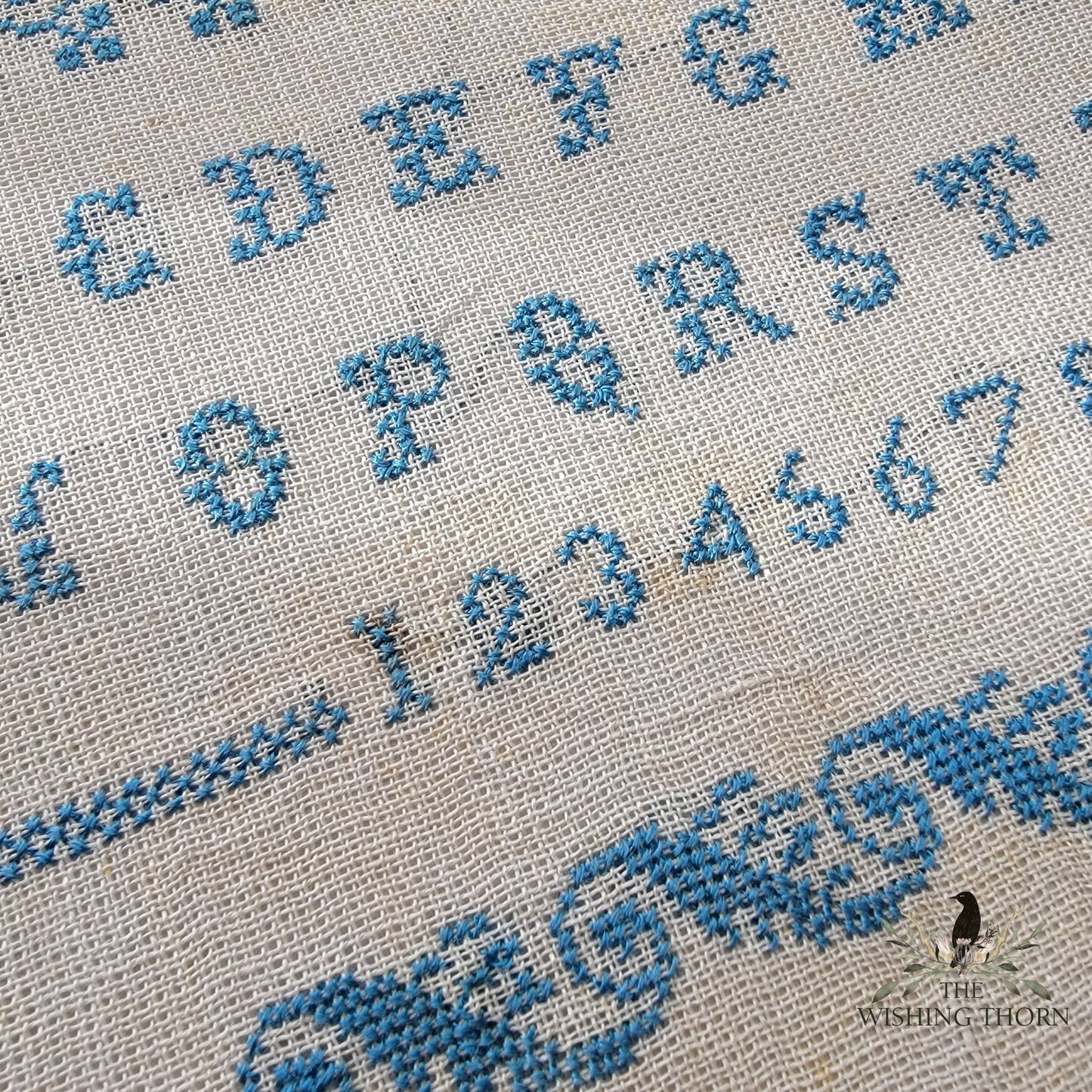 Eugenie Lauzeral 1883 Sampler Pattern