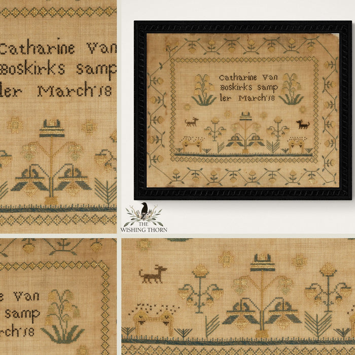 Catharine Van Boskirks Pattern by The Wishing Thorn